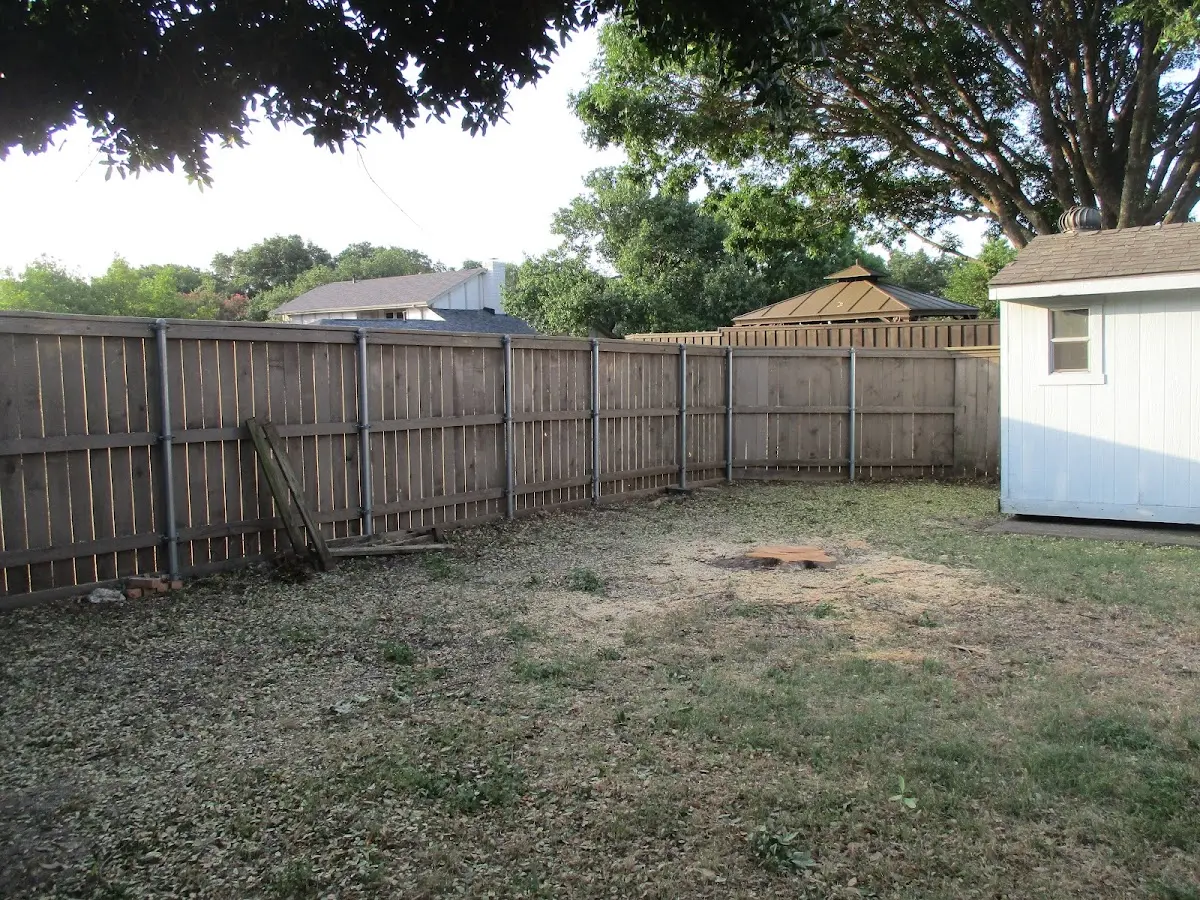 Cleared yard after professional tree removal in Brantwood